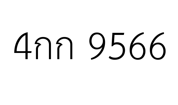 4กก 9566